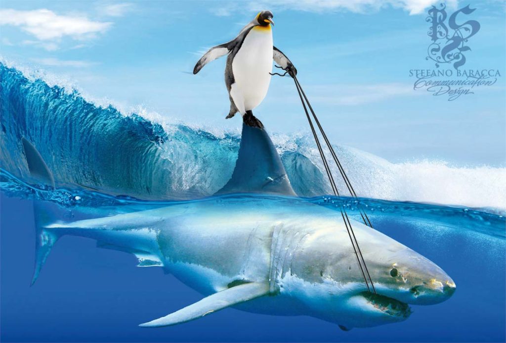 Pinguino che cavalca un squalo