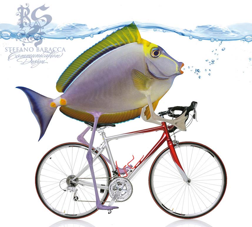 Pesce in bicicletta